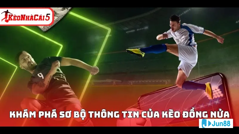 Đội chấp hợp lý