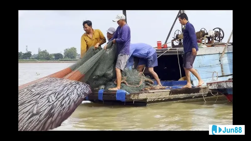 Tiền Long Đánh Cá